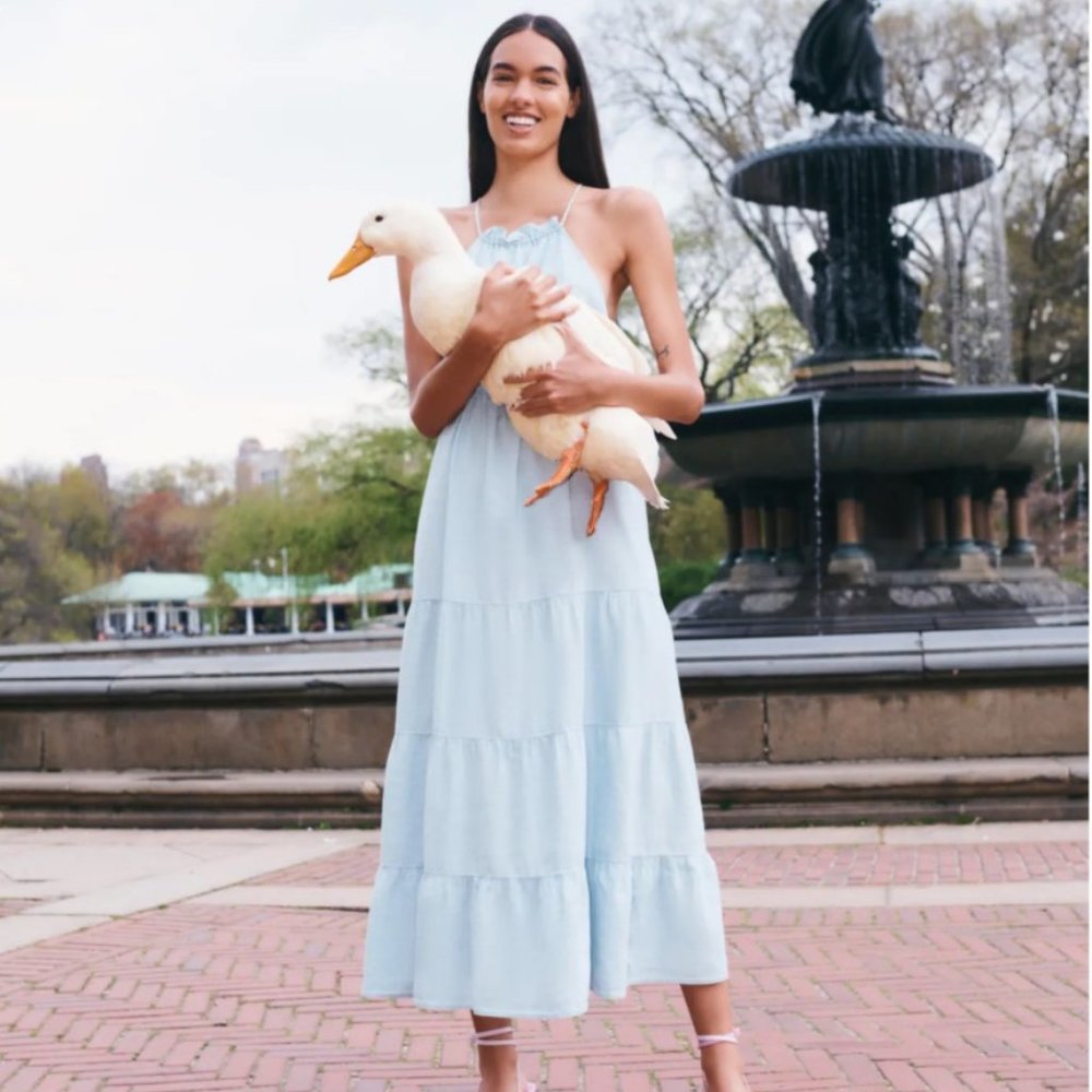 Zara Linen Blend Midi Dress